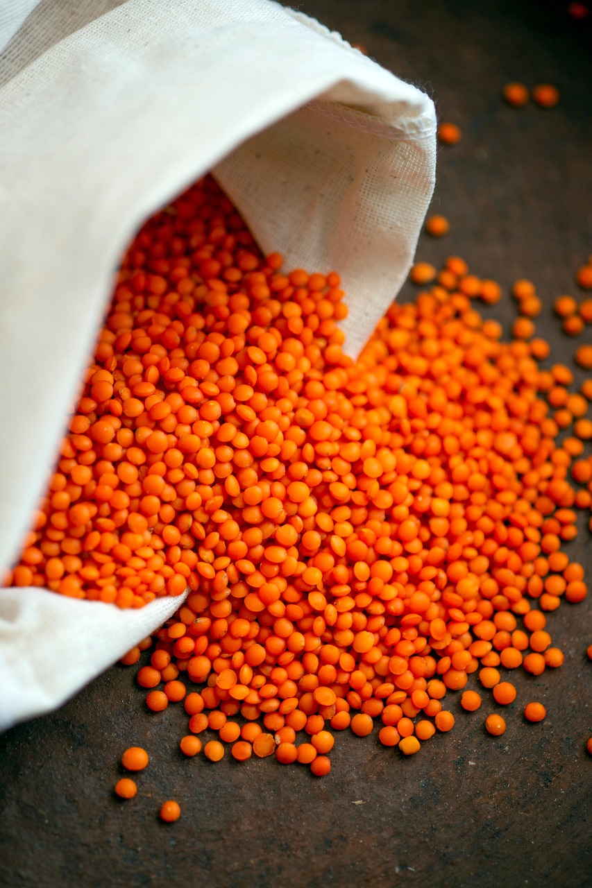 Lentils & Beans: Plant Power for Endurance (image credits: pixabay)