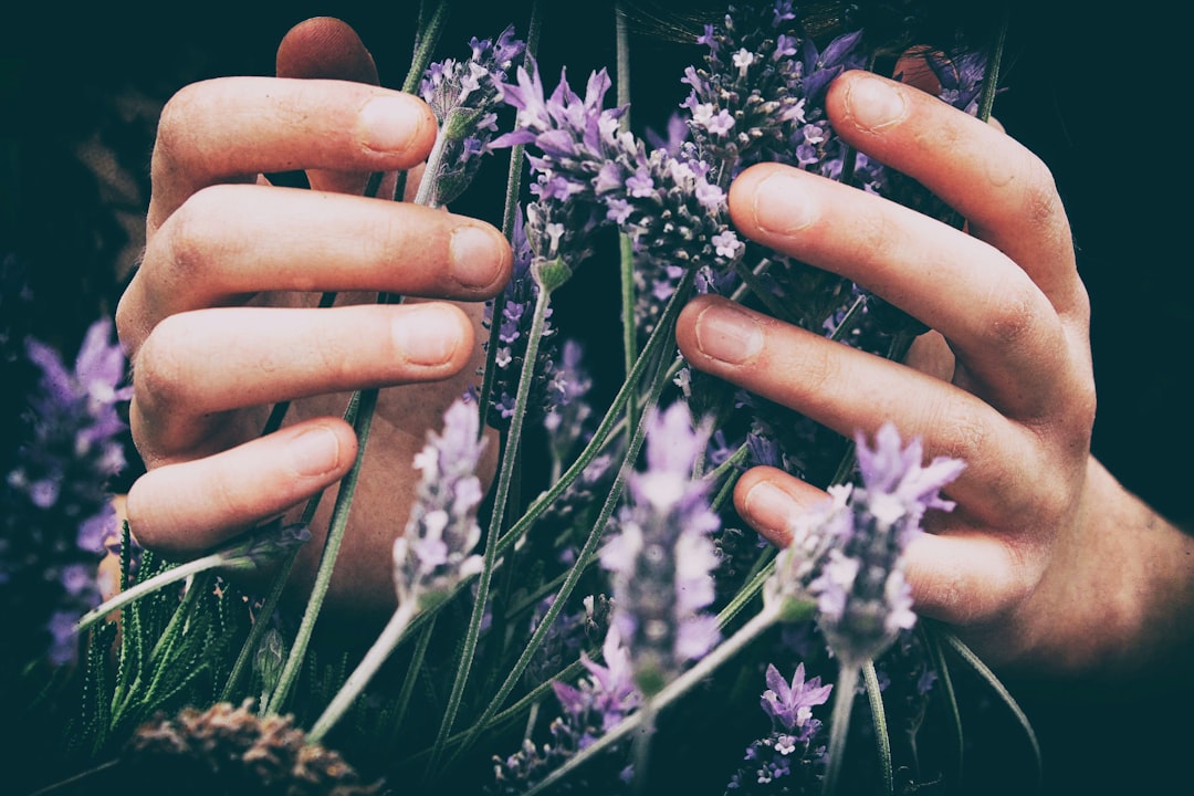 Transforming Home Cooking with a Gourmet Touch (image credits: unsplash)