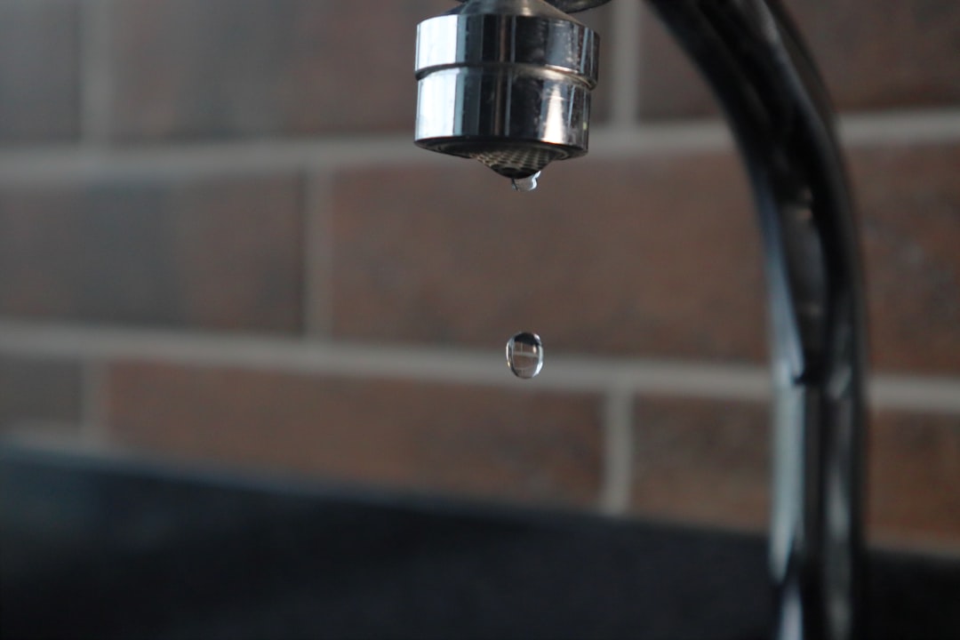 Ignoring Small Leaks and Drips (image credits: unsplash)