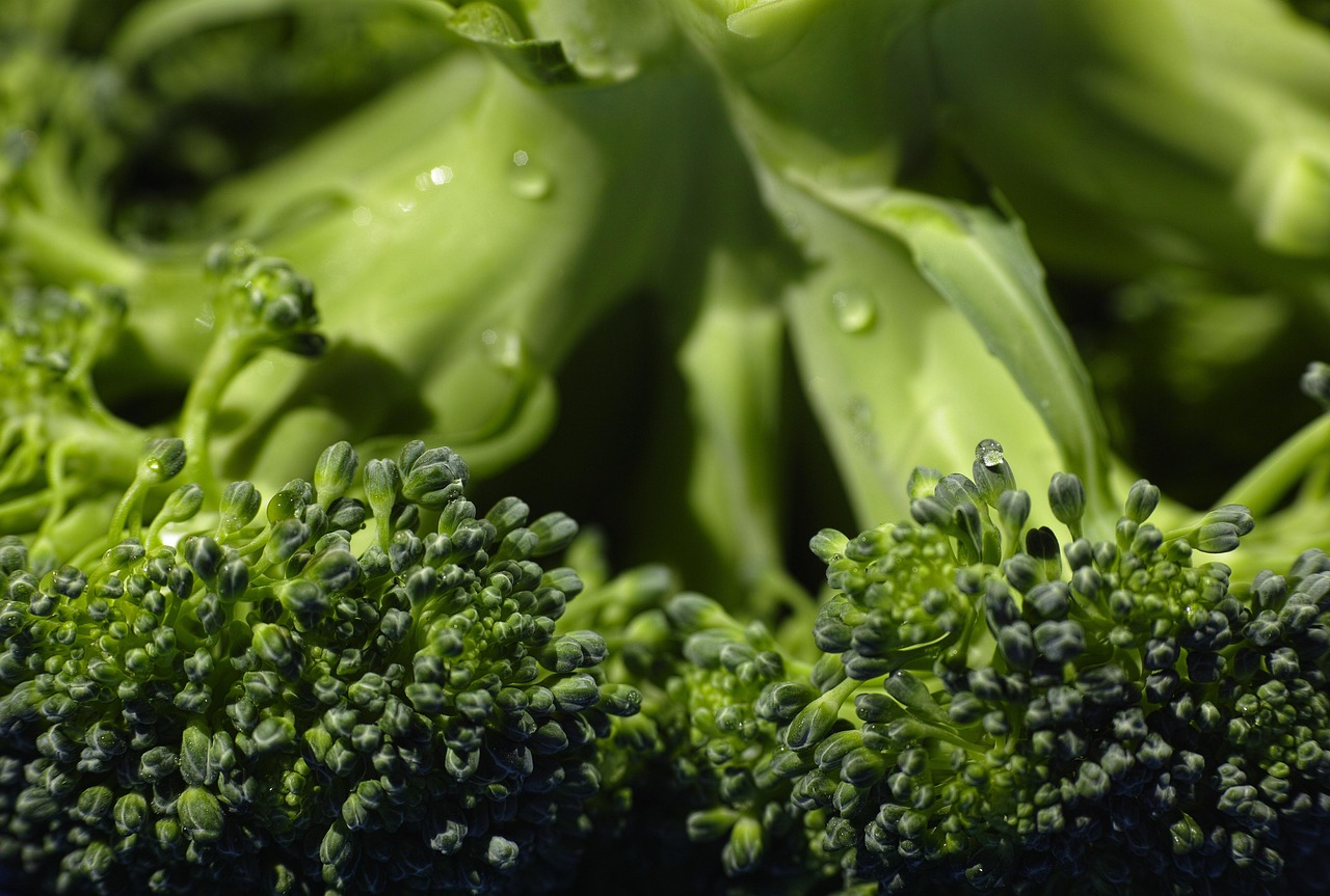 Broccoli: Cruciferous Protection for the Brain (image credits: pixabay)