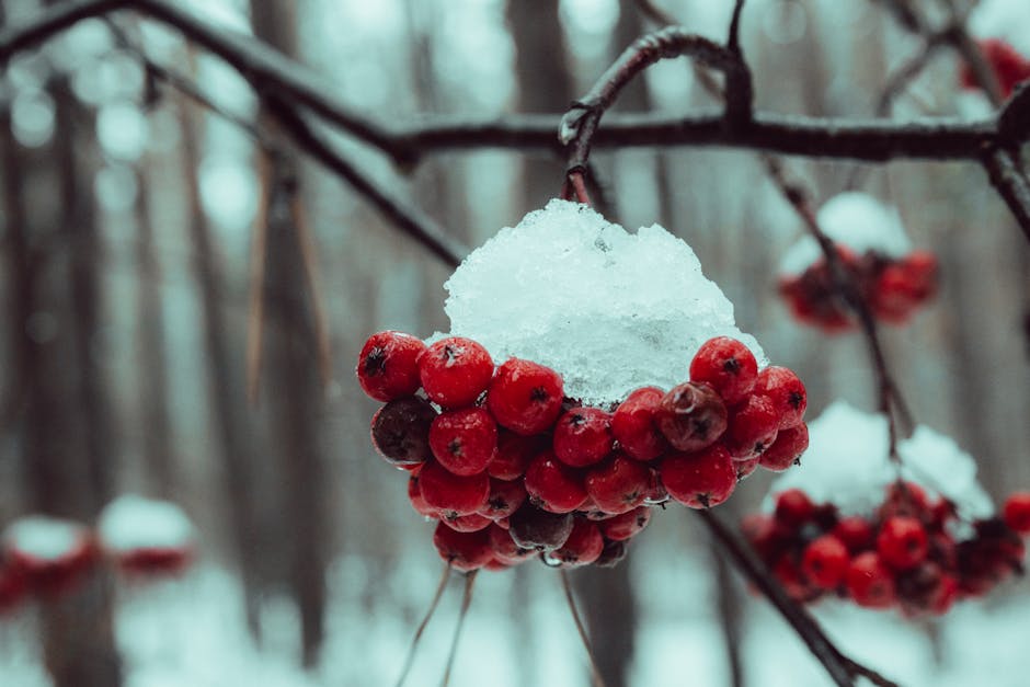 Bringing People Together with a Wild Berry Galette (image credits: pexels)