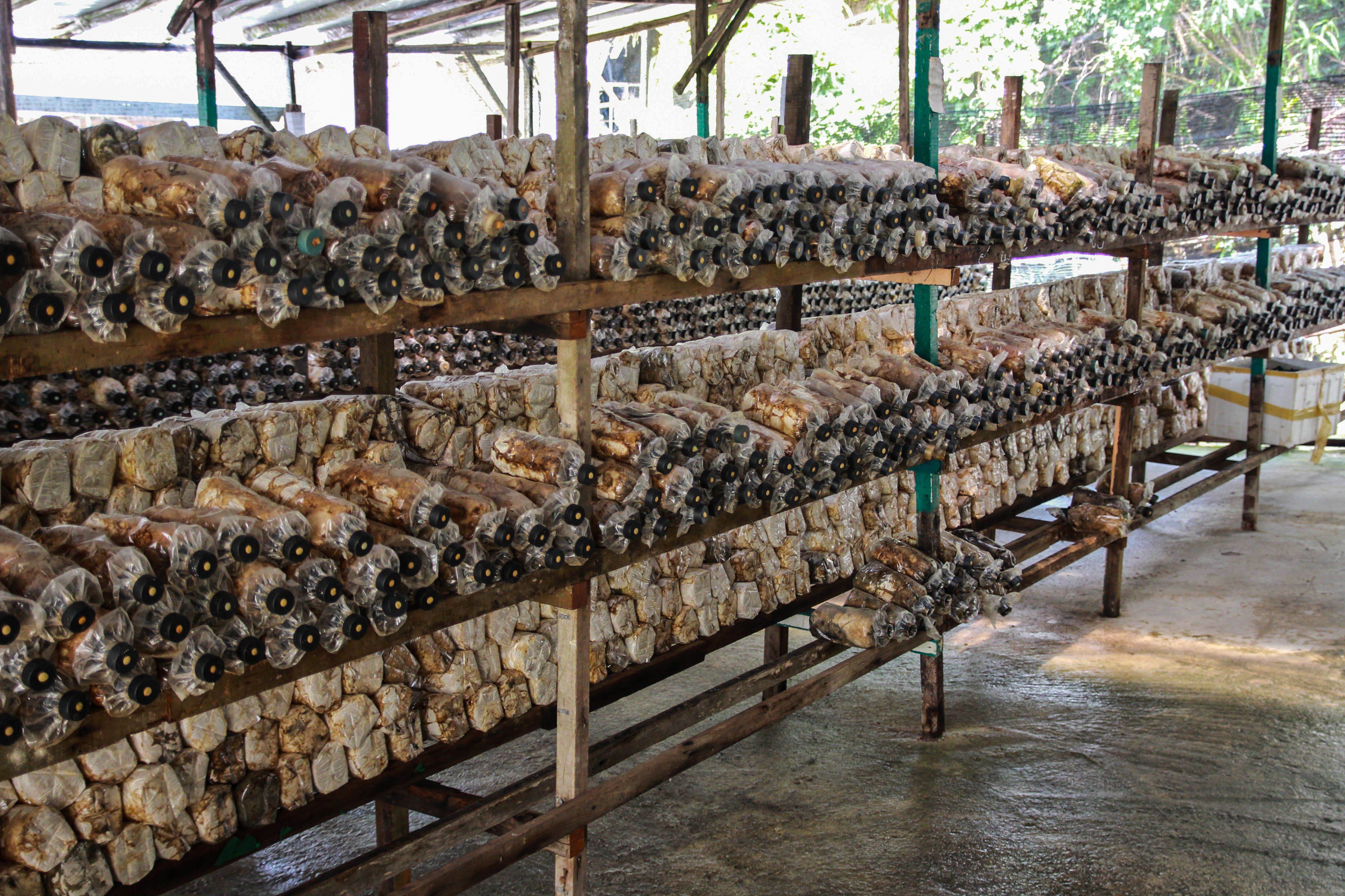 Sustainable Farming Practices (image credits: wikimedia)