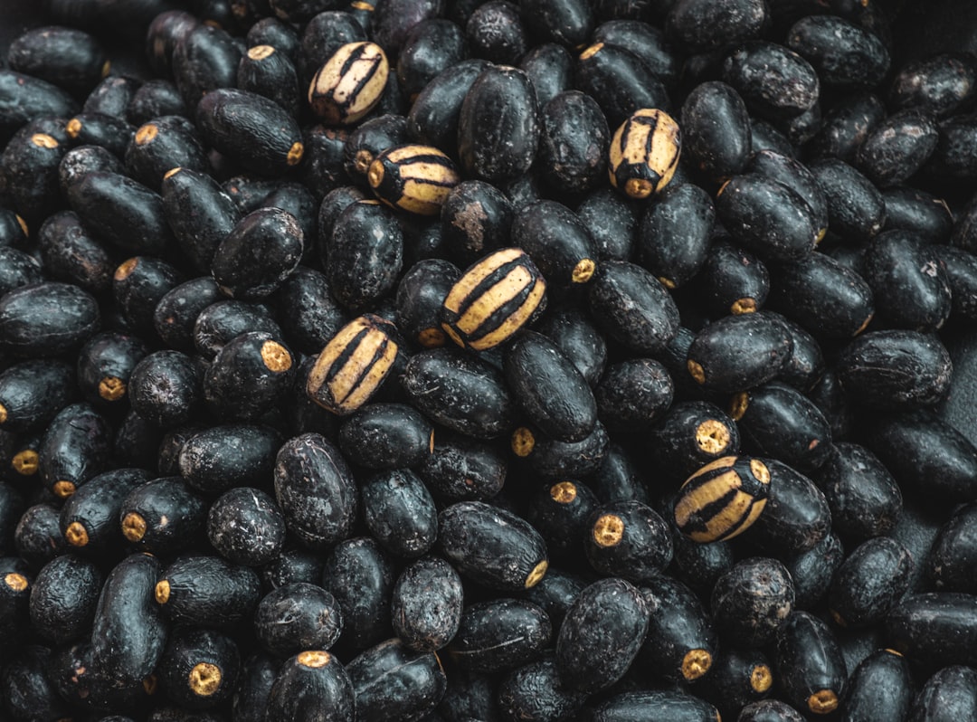 Black Beans: The Fiber-Rich Legume (image credits: unsplash)