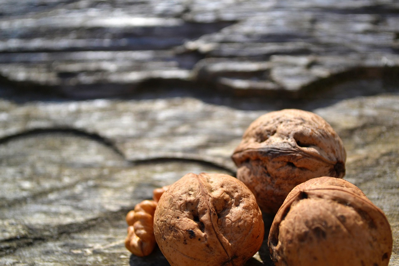 Sacha Inchi: The Amazon’s Protein Powerhouse (image credits: pixabay)