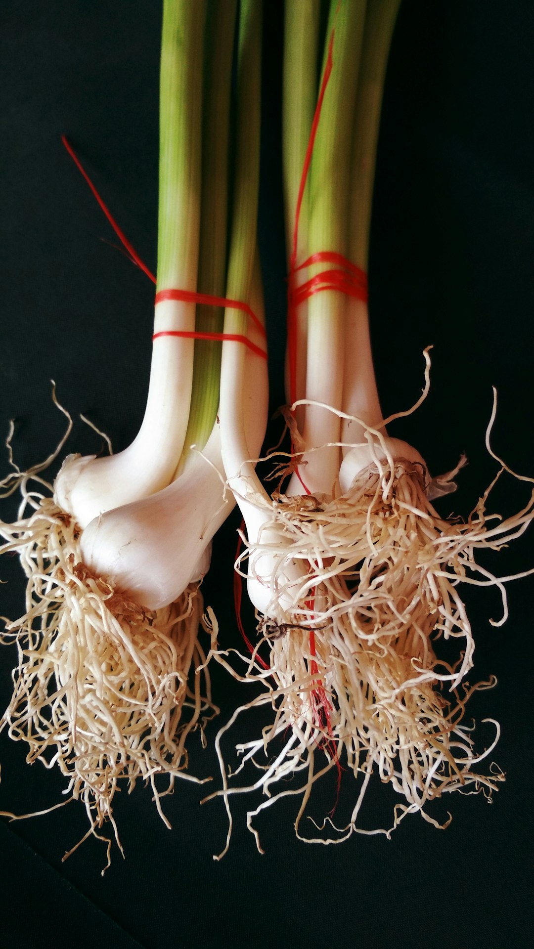Celery Root: Crunchy and Inflammation-Fighting (image credits: unsplash)