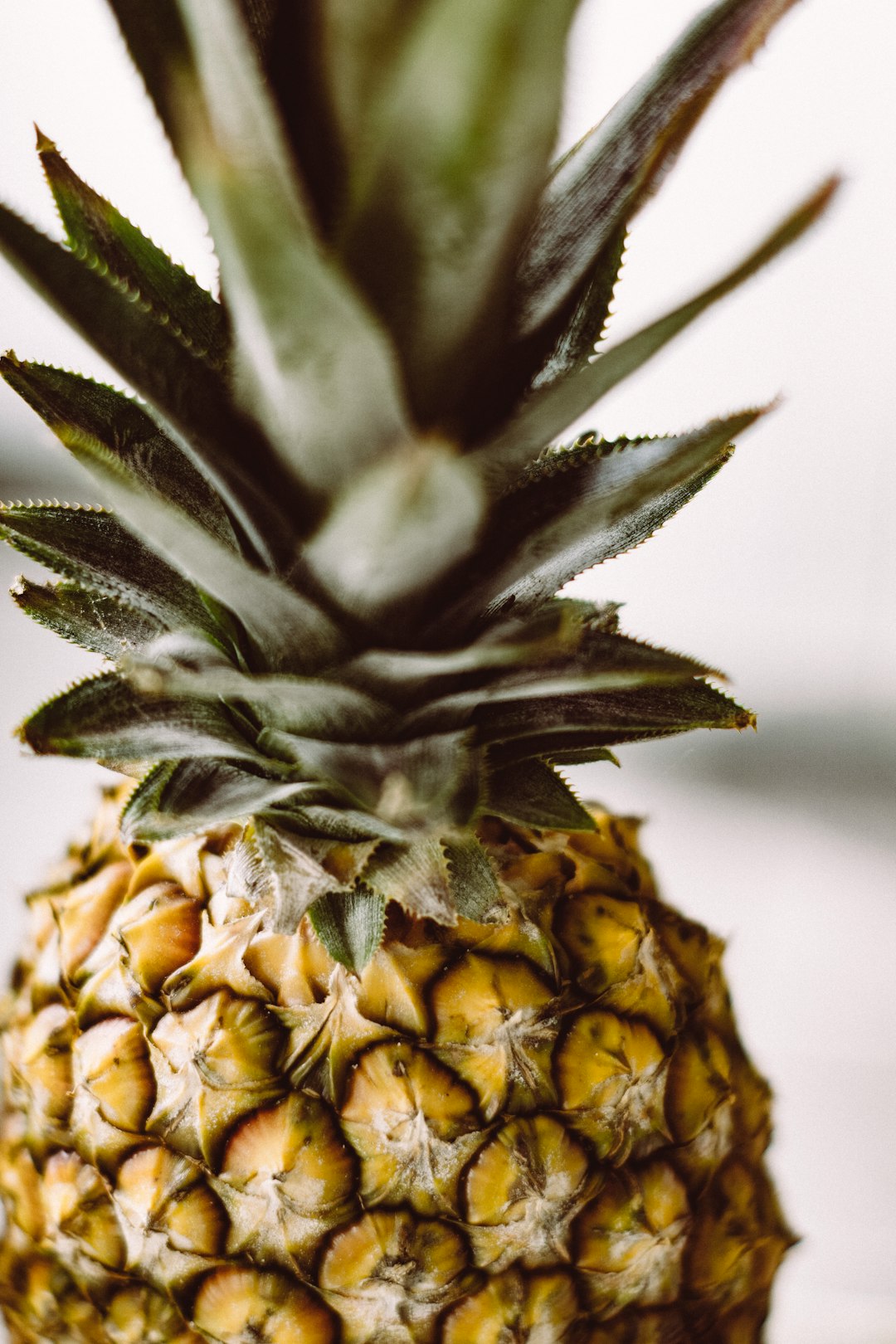 Pineapple: Tropical Sweetness With a Purpose (image credits: unsplash)