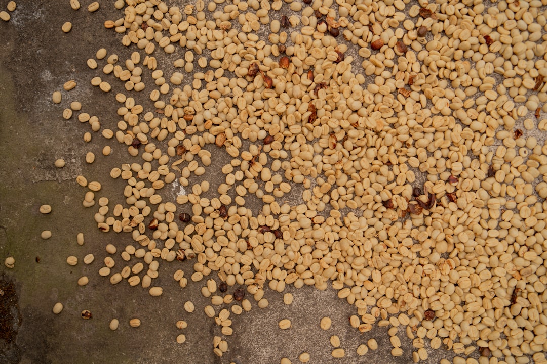 Quinoa Seeds Shed Their Bitter Protective Coating (image credits: unsplash)