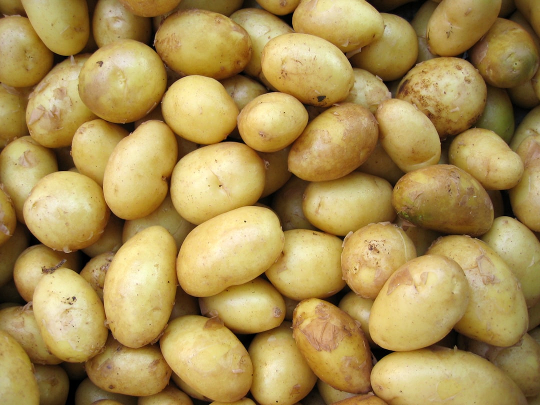 Potatoes: Not Just a Carb—A Protein Surprise (image credits: unsplash)