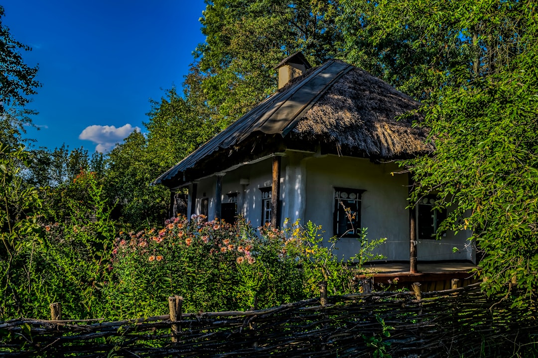 A Boost to the Local Economy (image credits: unsplash)