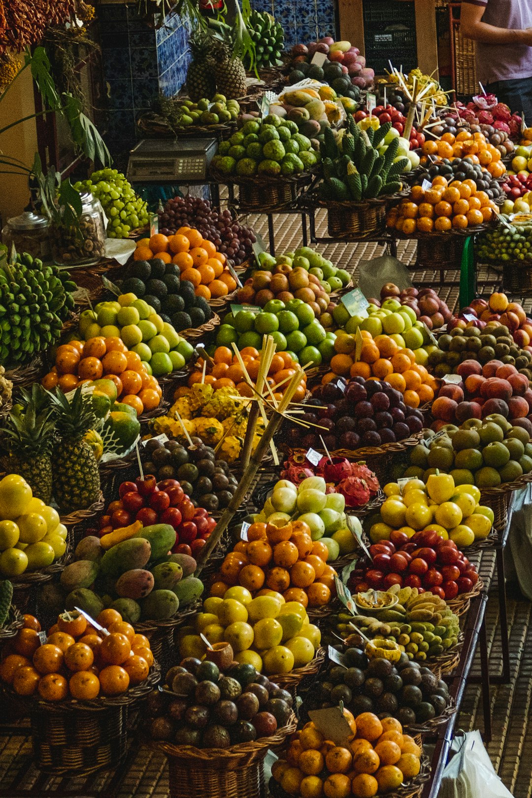 Health Considerations (image credits: unsplash)