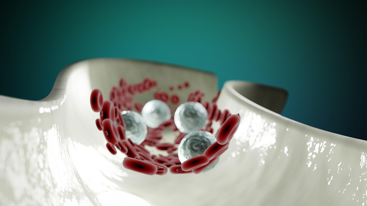 Lowering Cholesterol: Grapes’ Role in a Healthier Lipid Profile (image credits: pixabay)