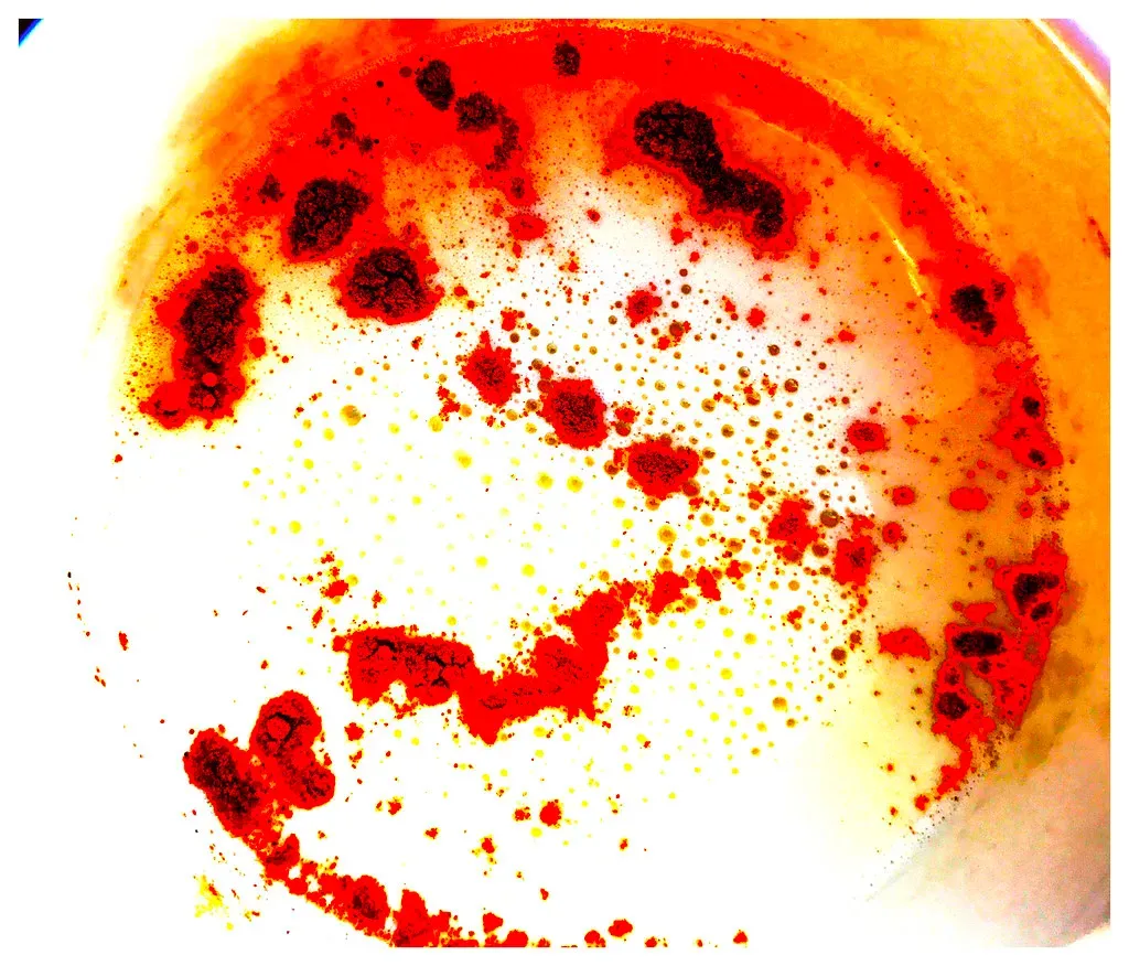 4. Highly Controversial or Unusually Experimental Foods (Chic Bee, Flickr, CC BY 2.0)