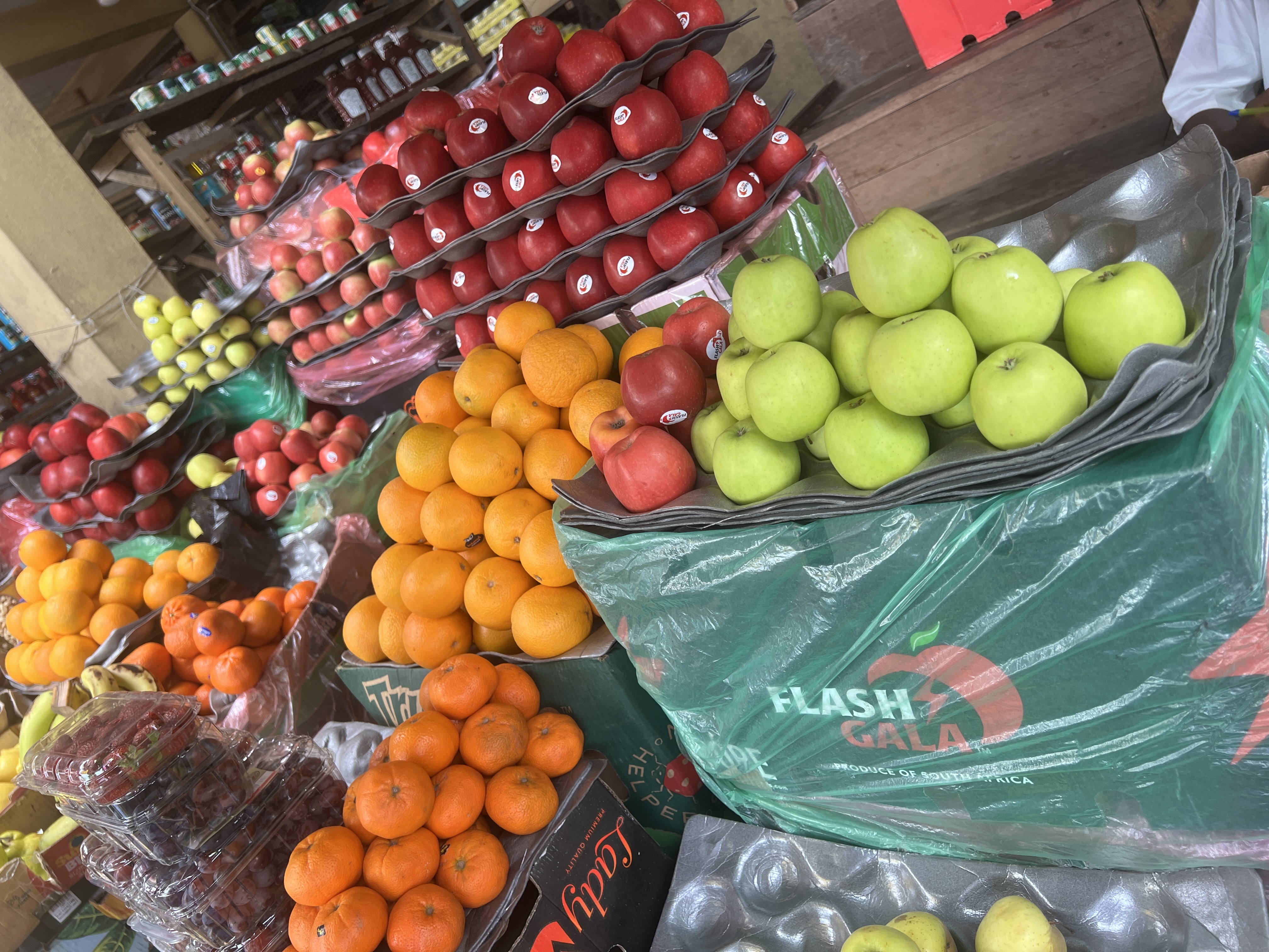 Emergency Preparedness and Food Security Take Center Stage (image credits: wikimedia)