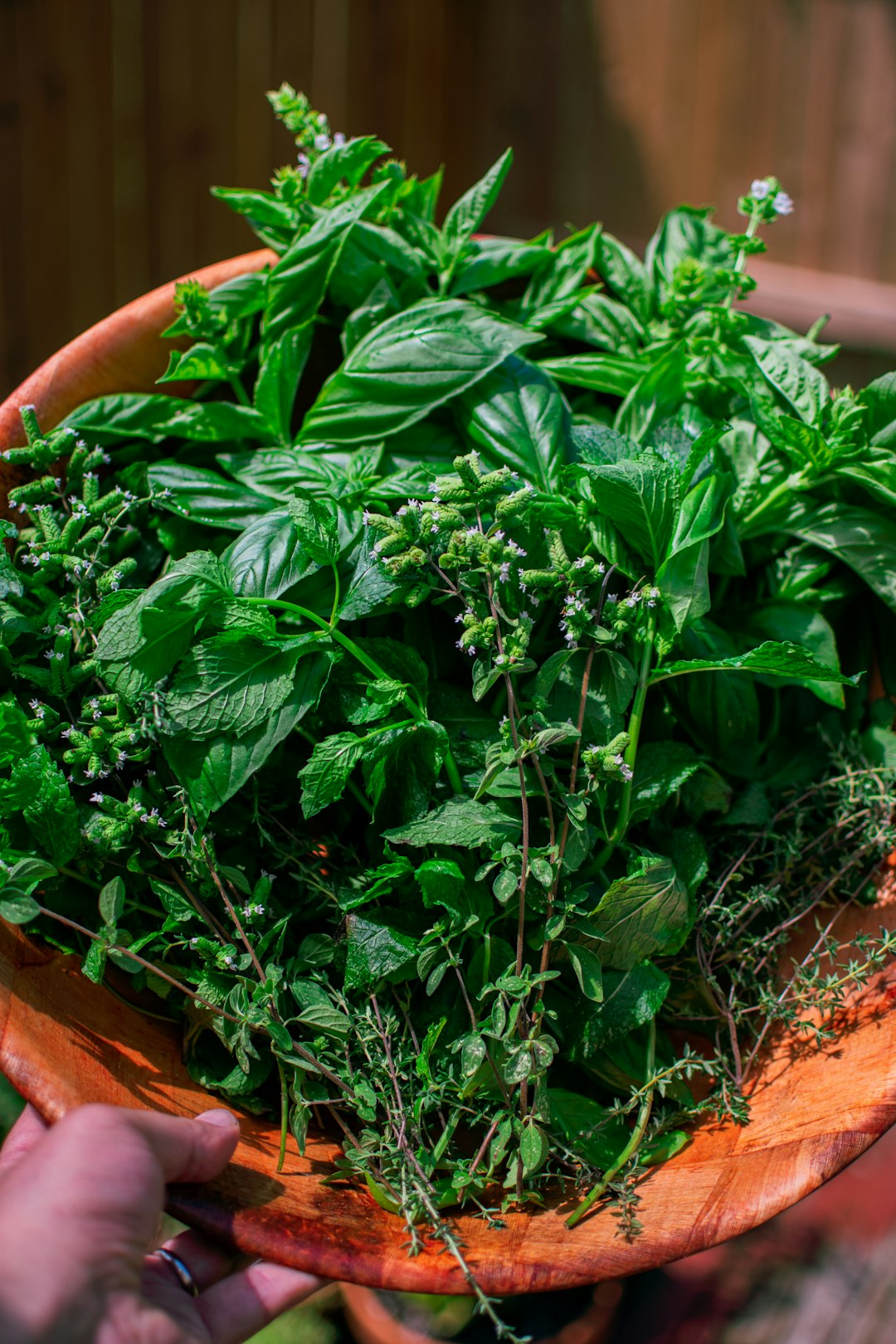 Thyme and Oregano: Mediterranean Magic (image credits: unsplash)
