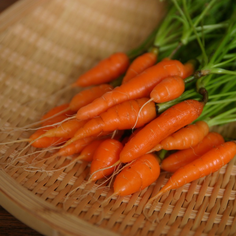 Baby Carrots with That Mysterious White Film (image credits: wikimedia)