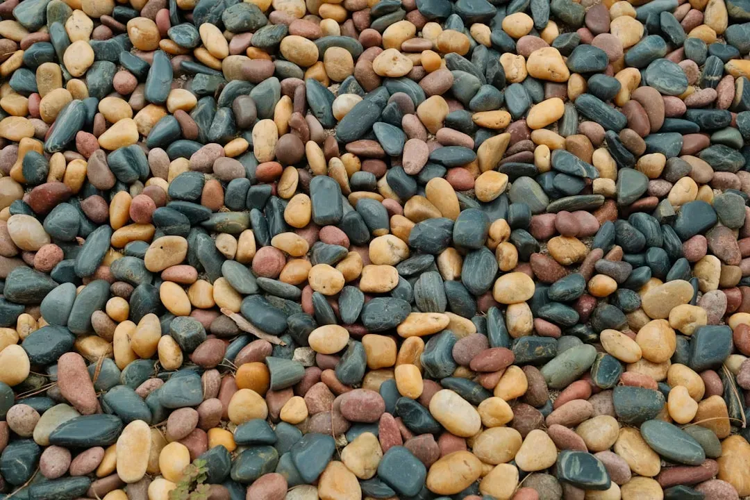 The Beans Arrive Dried Like Rabbit Pellets (Image Credits: Unsplash)