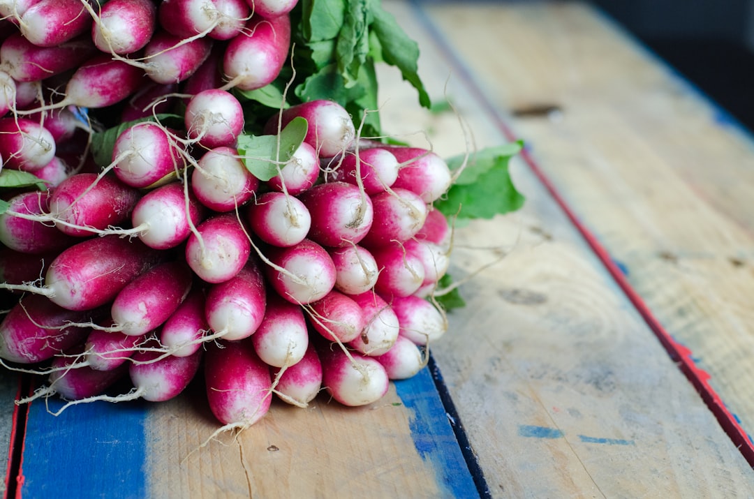 Radishes: The Surprising Antioxidant Champion (image credits: unsplash)