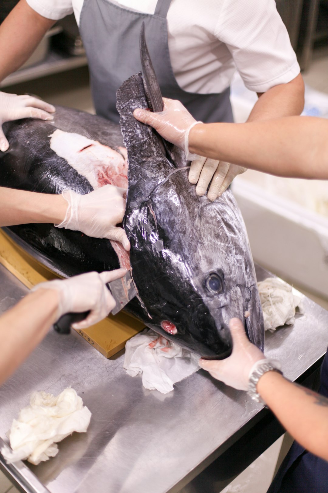 Raw or Undercooked Seafood and Meat (image credits: unsplash)