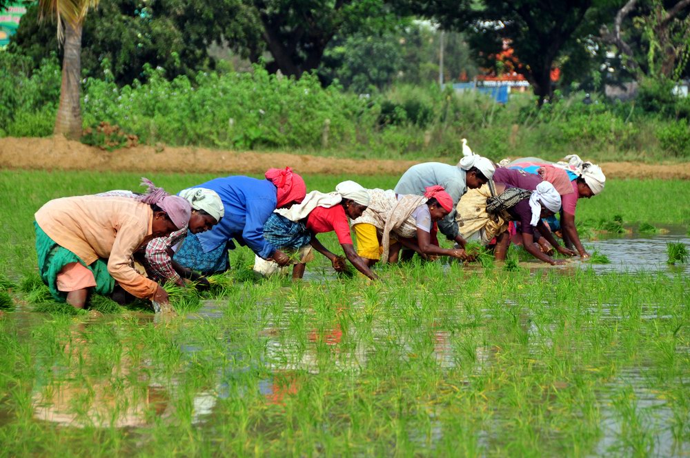 Exploitation of Labor (image credits: wikimedia)