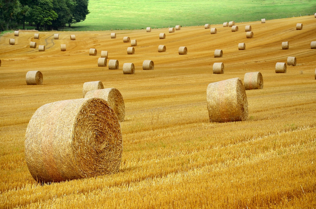 Voices from the Farming Community (image credits: pixabay)