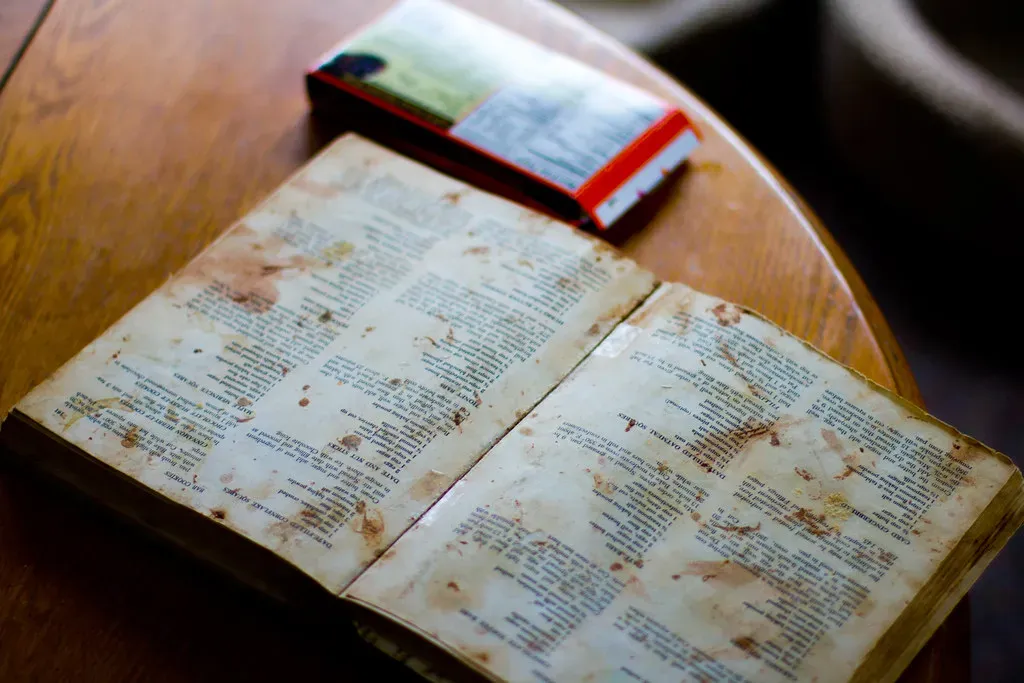 Condition Is Everything - Even Stains Have a Story (Image Credits: Flickr)