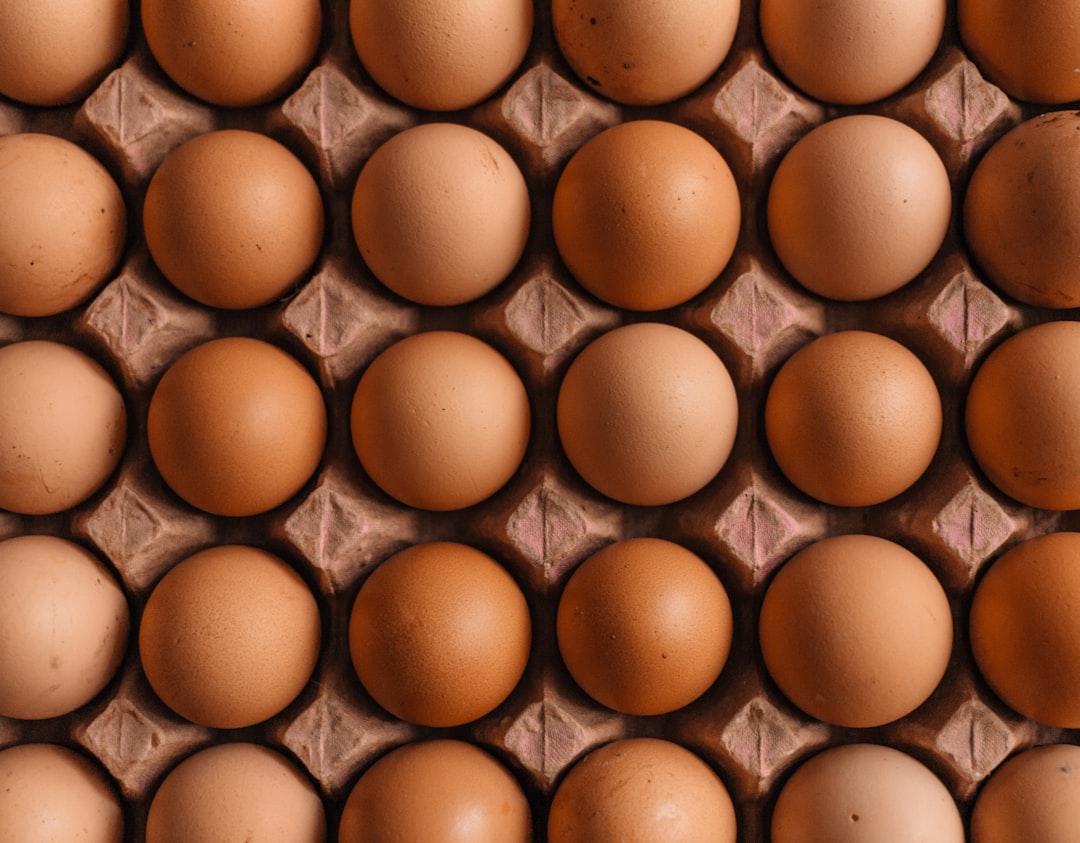 Eggs: Complete Protein for Restoration (image credits: unsplash)