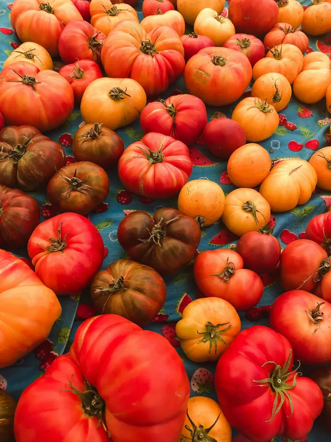 Heirloom Tomatoes Meet the Modern Farm-to-Table Table (Image Credits: Unsplash)