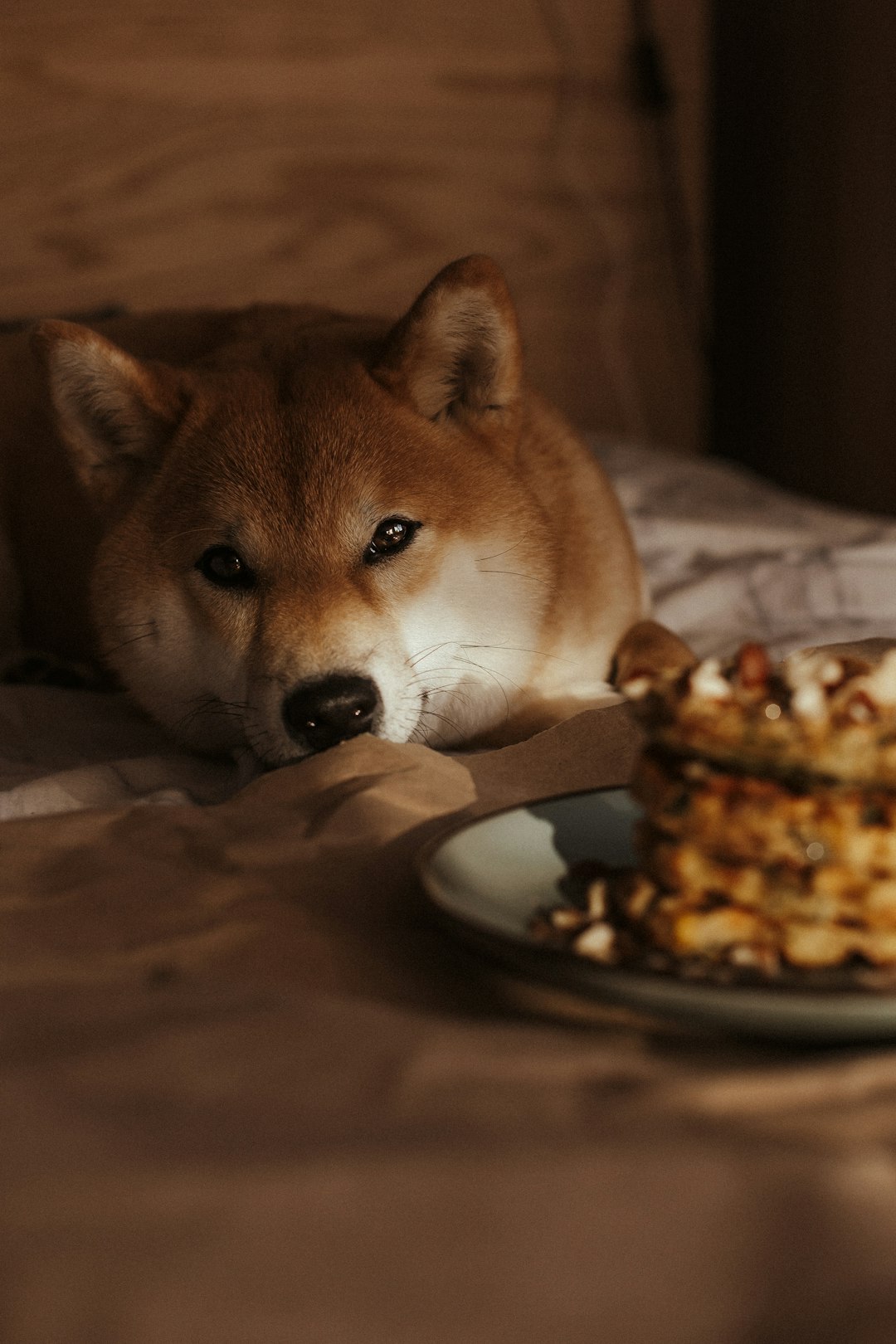 Fat Trimmings and Greasy Foods: Hidden Hazards (image credits: unsplash)