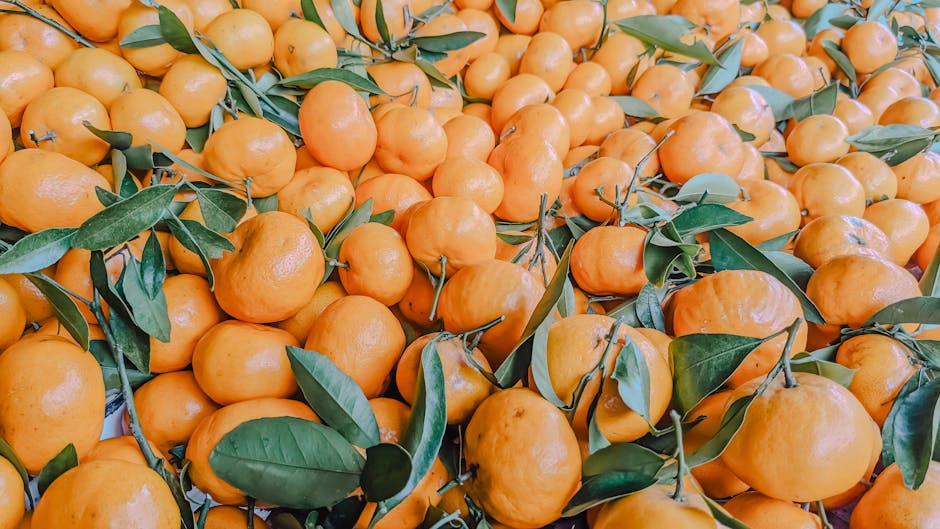 9. Oranges (image credits: pexels)