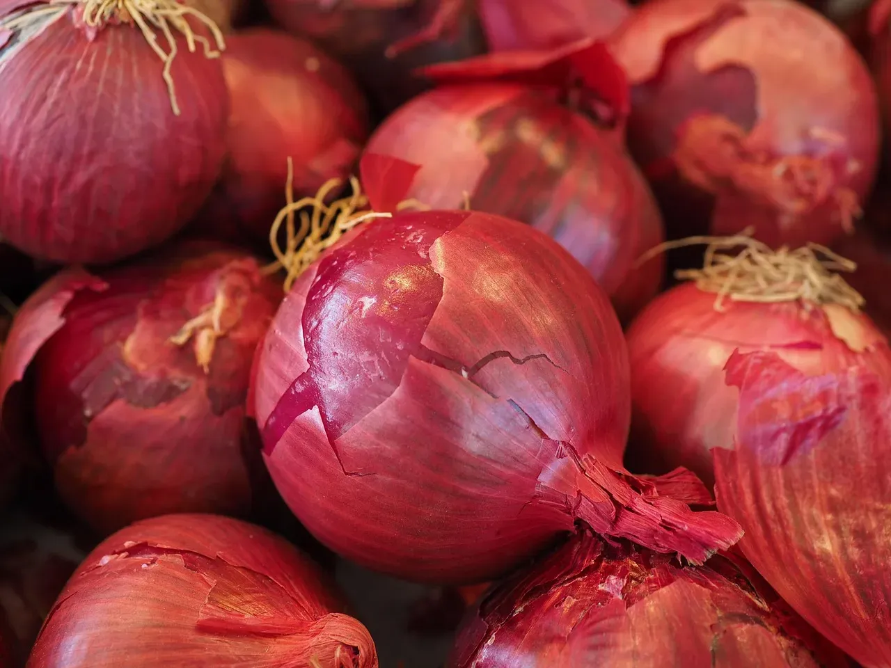 The Onion Type Makes a Difference (Image Credits: Pixabay)