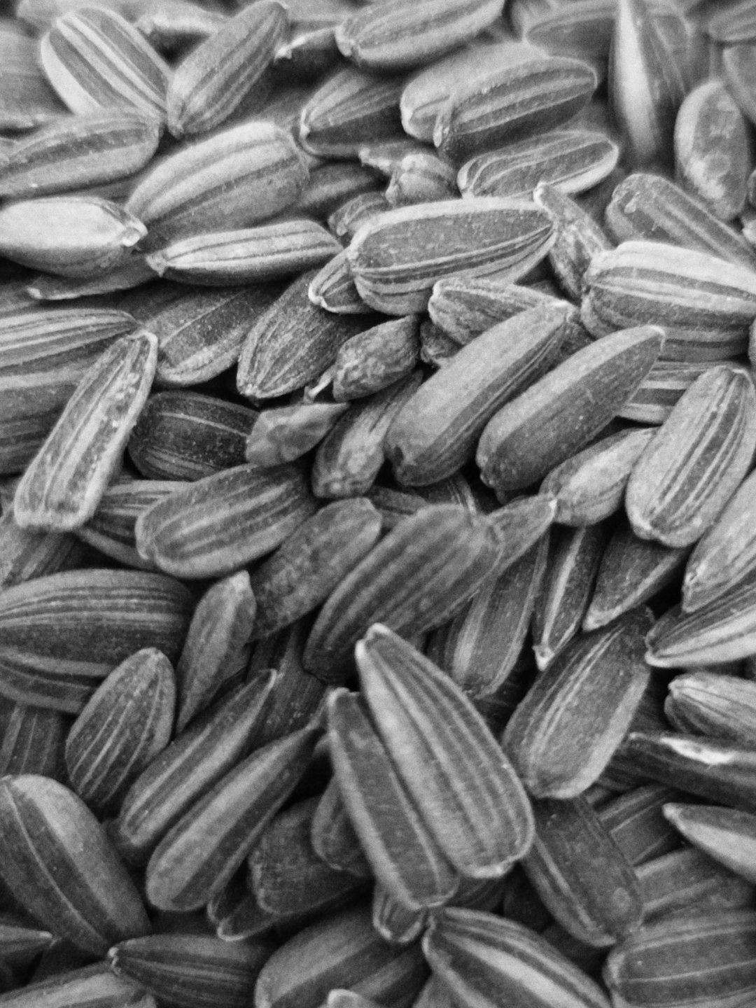 Sunflower Seeds (image credits: unsplash)