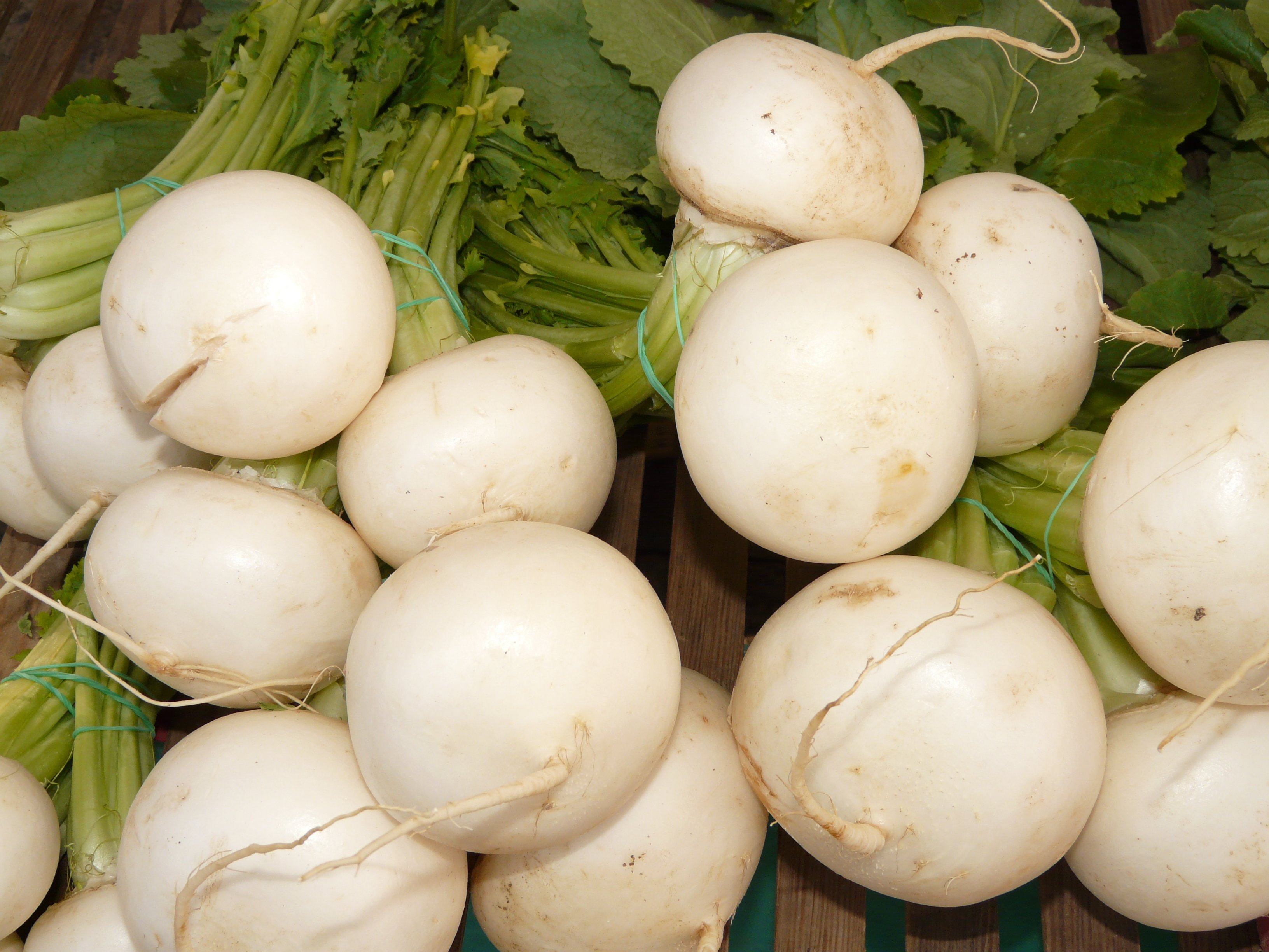 Turnips: The Underrated Fiber Source (image credits: wikimedia)