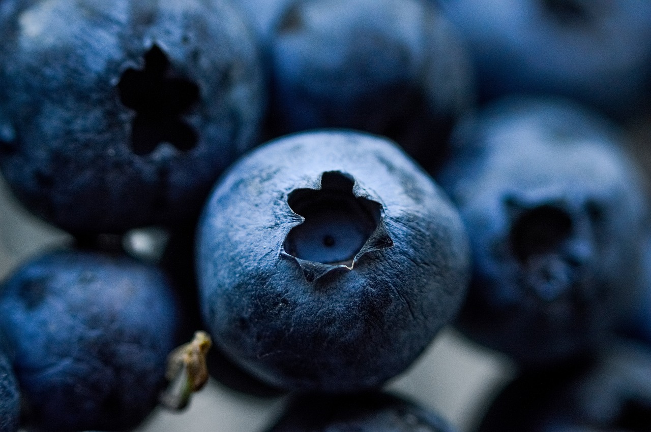 Blueberries: The Morning Brain Booster (image credits: pixabay)