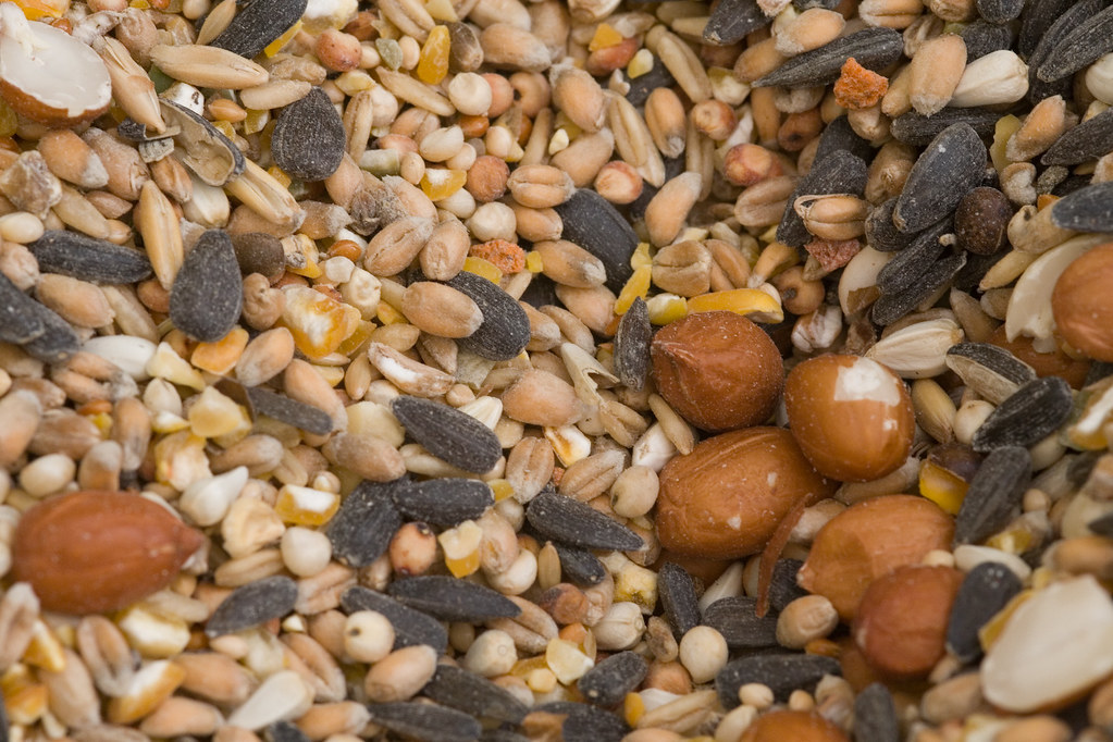 Nuts and Seeds (Image Credits: Flickr)