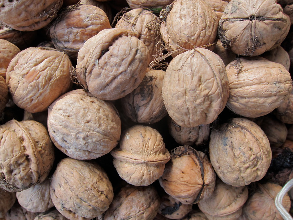 Walnuts (image credits: flickr)