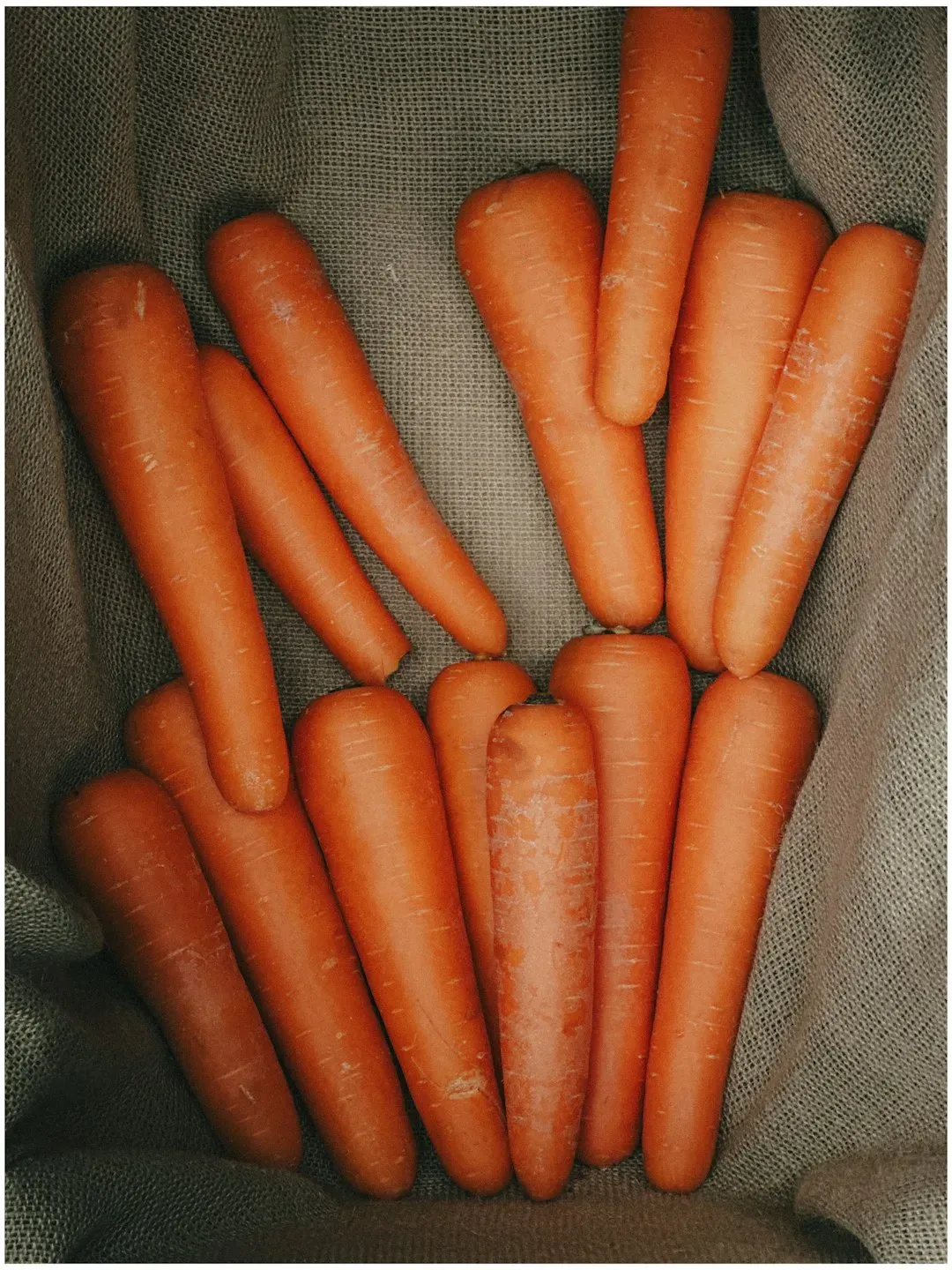 Carrots: A Balanced Fiber Source (Image Credits: Unsplash)