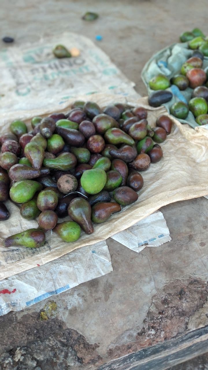 Skin and Hair Health (image credits: wikimedia)