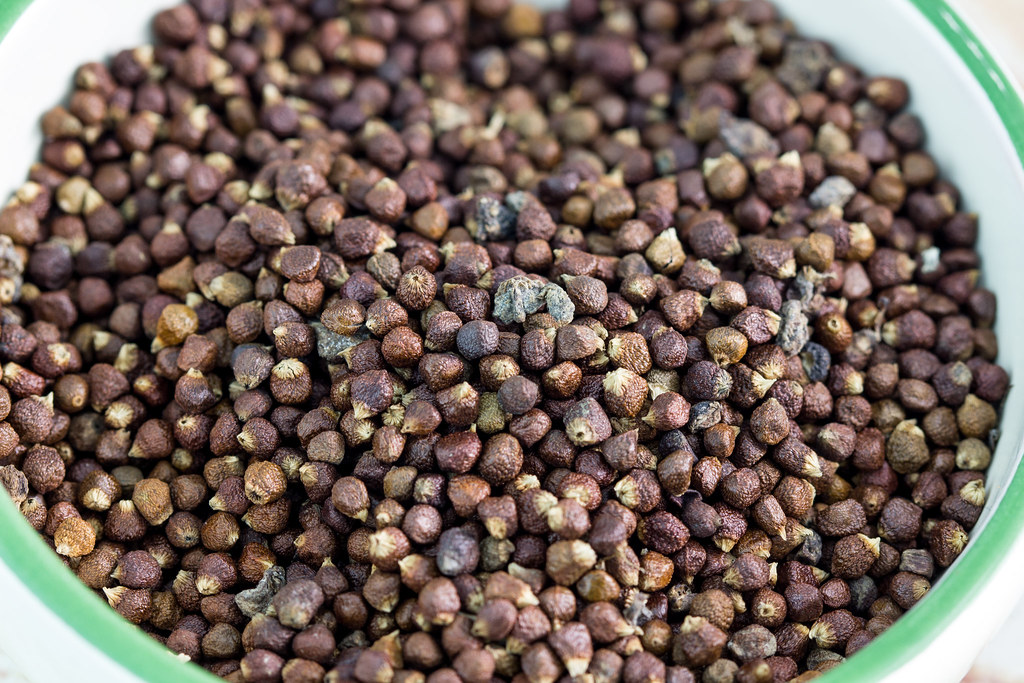 Grains of Paradise - West Africa's Peppery Crown Jewel (image credits: Gallery Image)