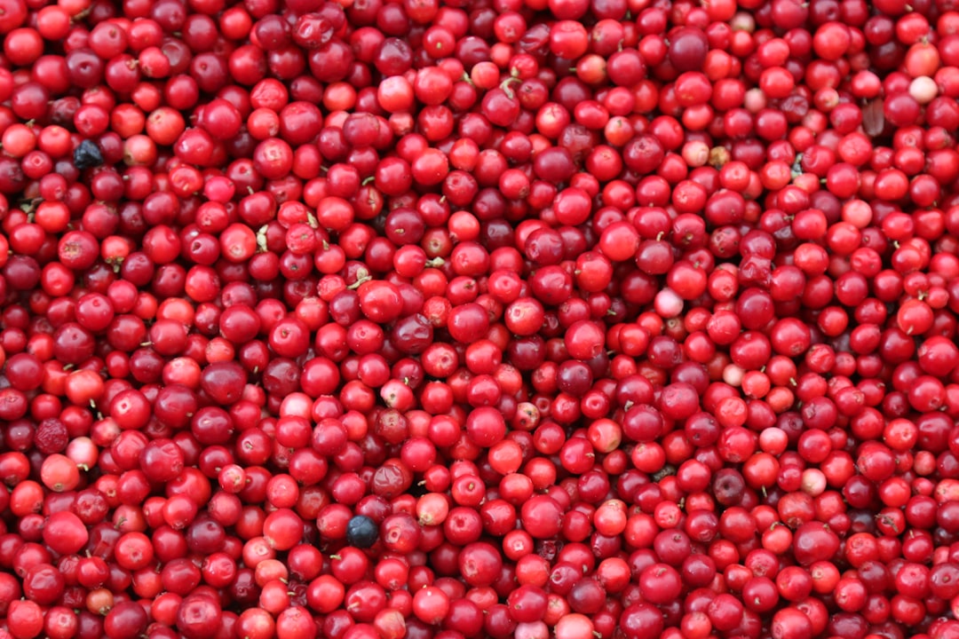 Cranberry Relish: The Tart Treat with a Health Punch (image credits: unsplash)