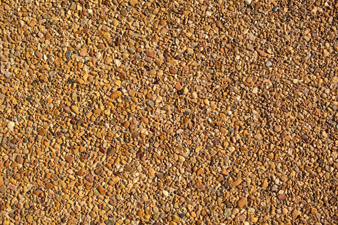 Amaranth: Tiny Seeds, Big Storage Mistakes (image credits: unsplash)