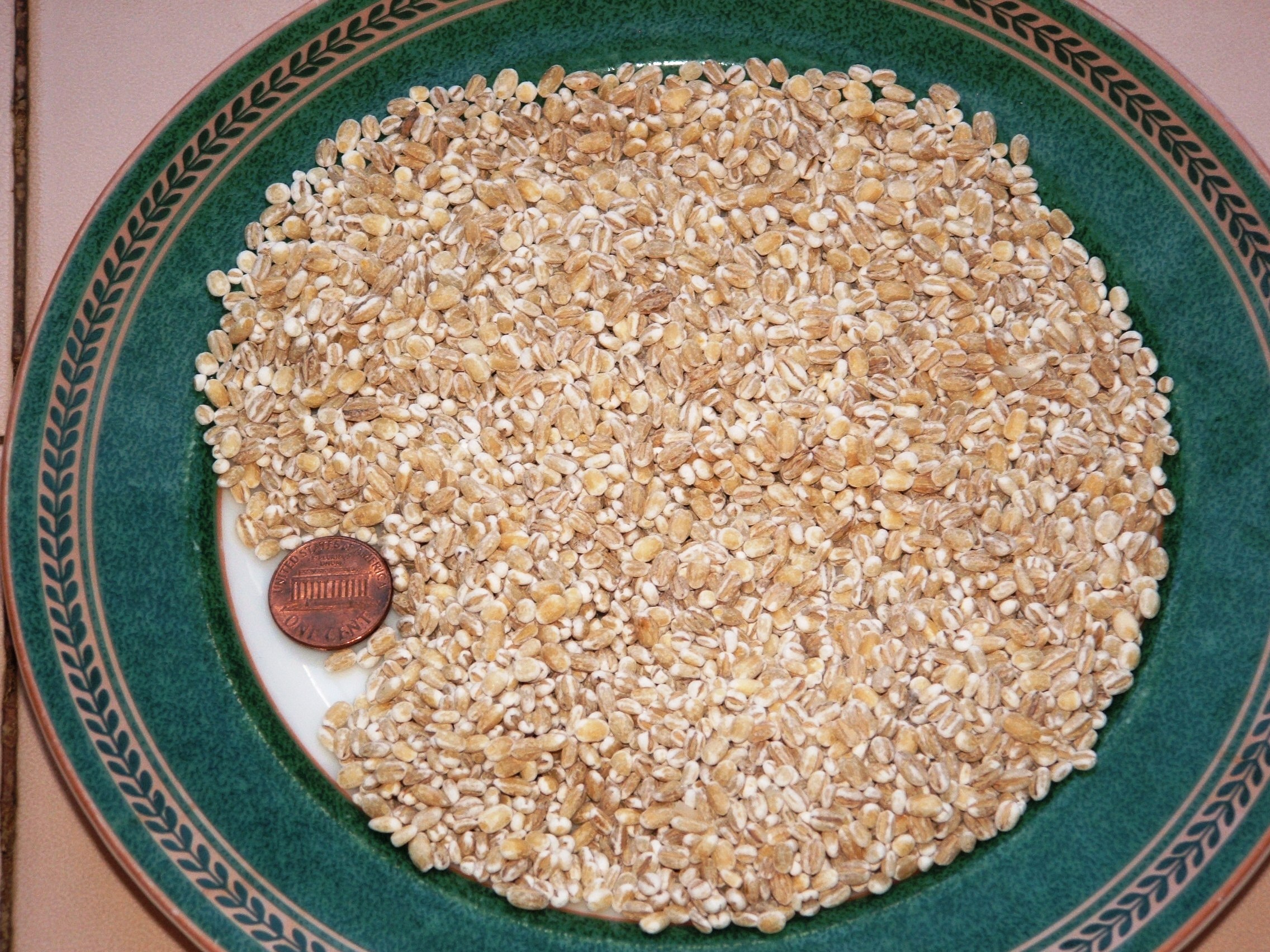 Barley: The Fiber Champion (Image Credits: Wikimedia)