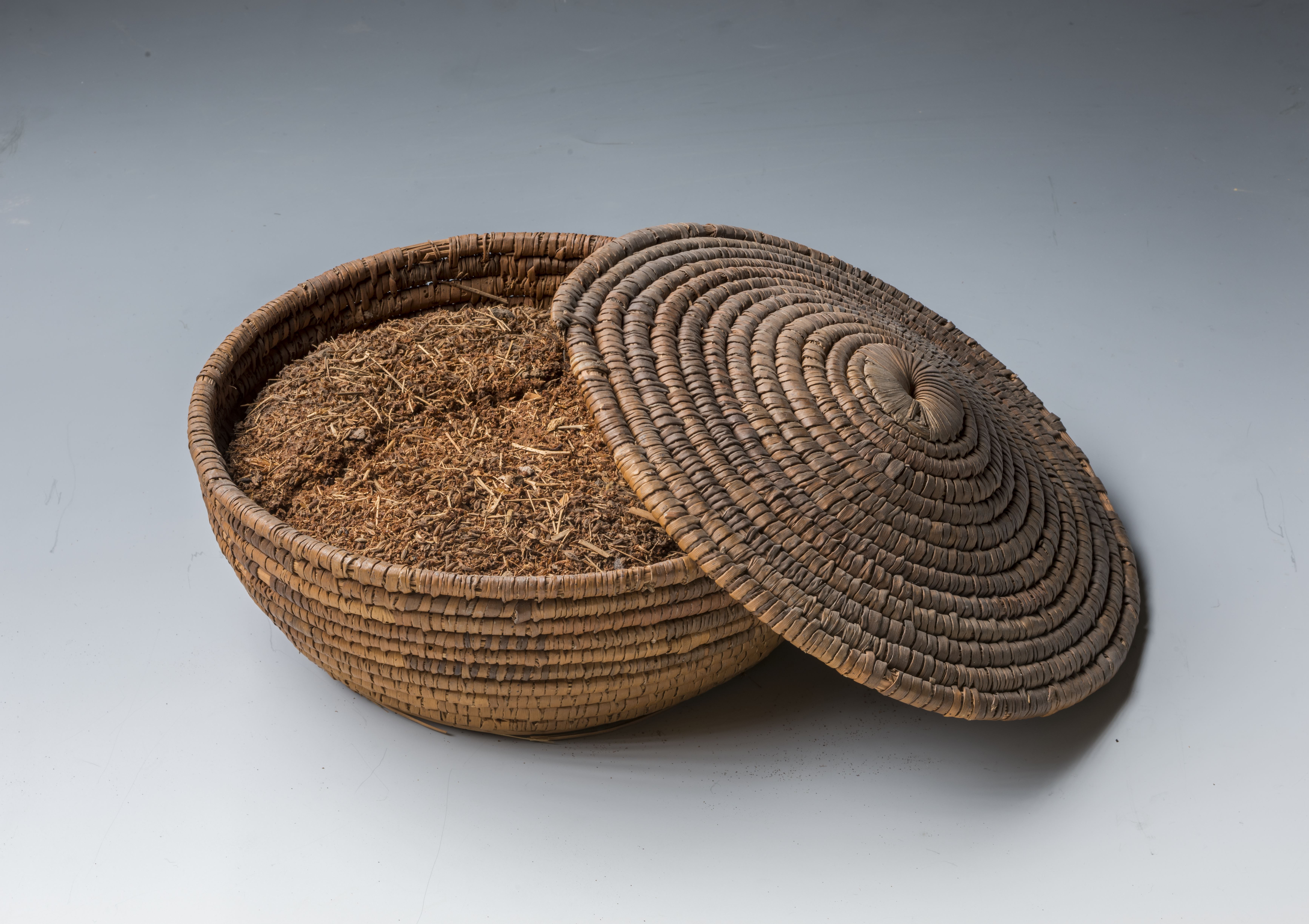 Cumin - The Earthy Game Changer (image credits: wikimedia)