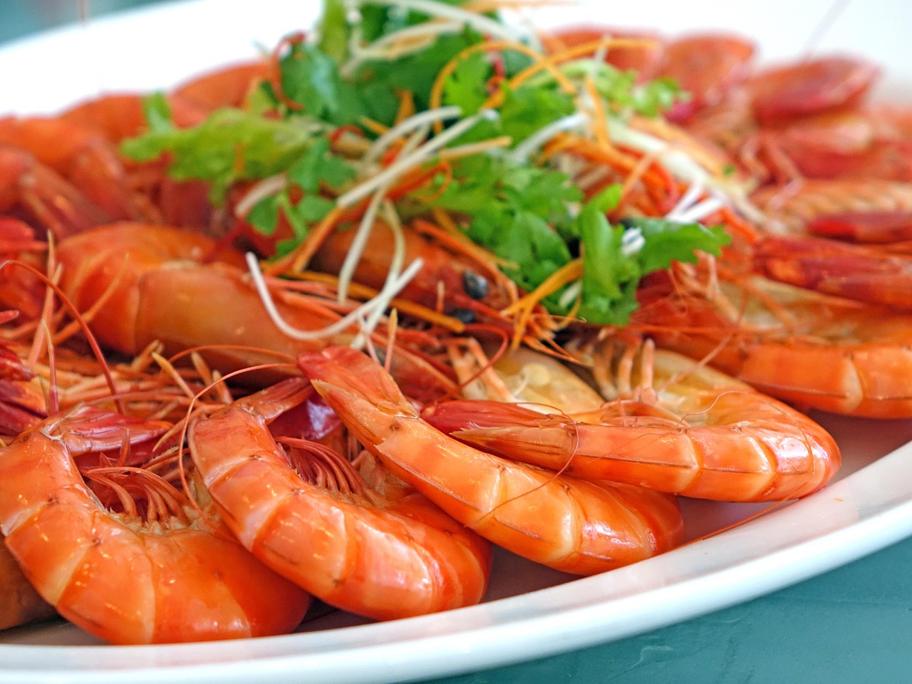 Seafood: Shrimp, Salmon, and More at Risk (image credits: pixabay)