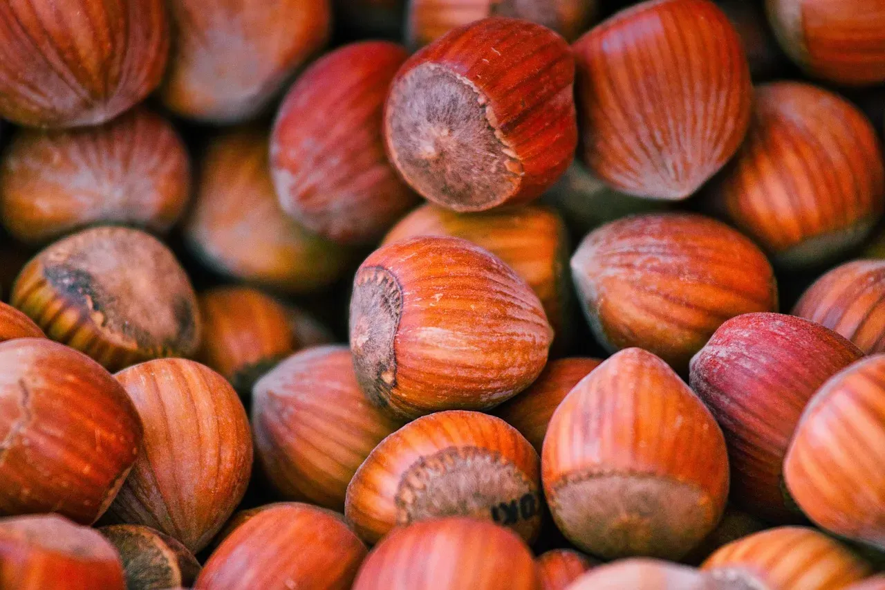 6. Hazelnuts: Heart-Healthy and Underappreciated (Image Credits: Pixabay)