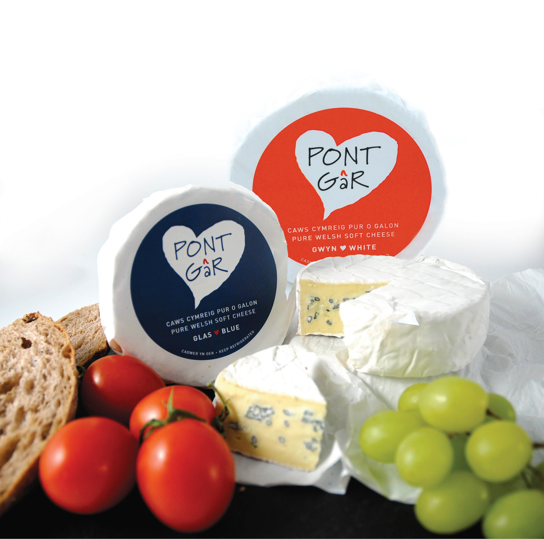 A Global Affair: Blue Cheese Varieties (image credits: wikimedia)