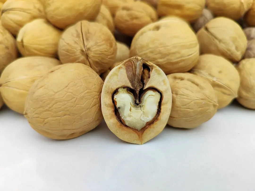6. Walnuts: The Brainy Nut With a Heart of Gold (Image Credits: Unsplash)
