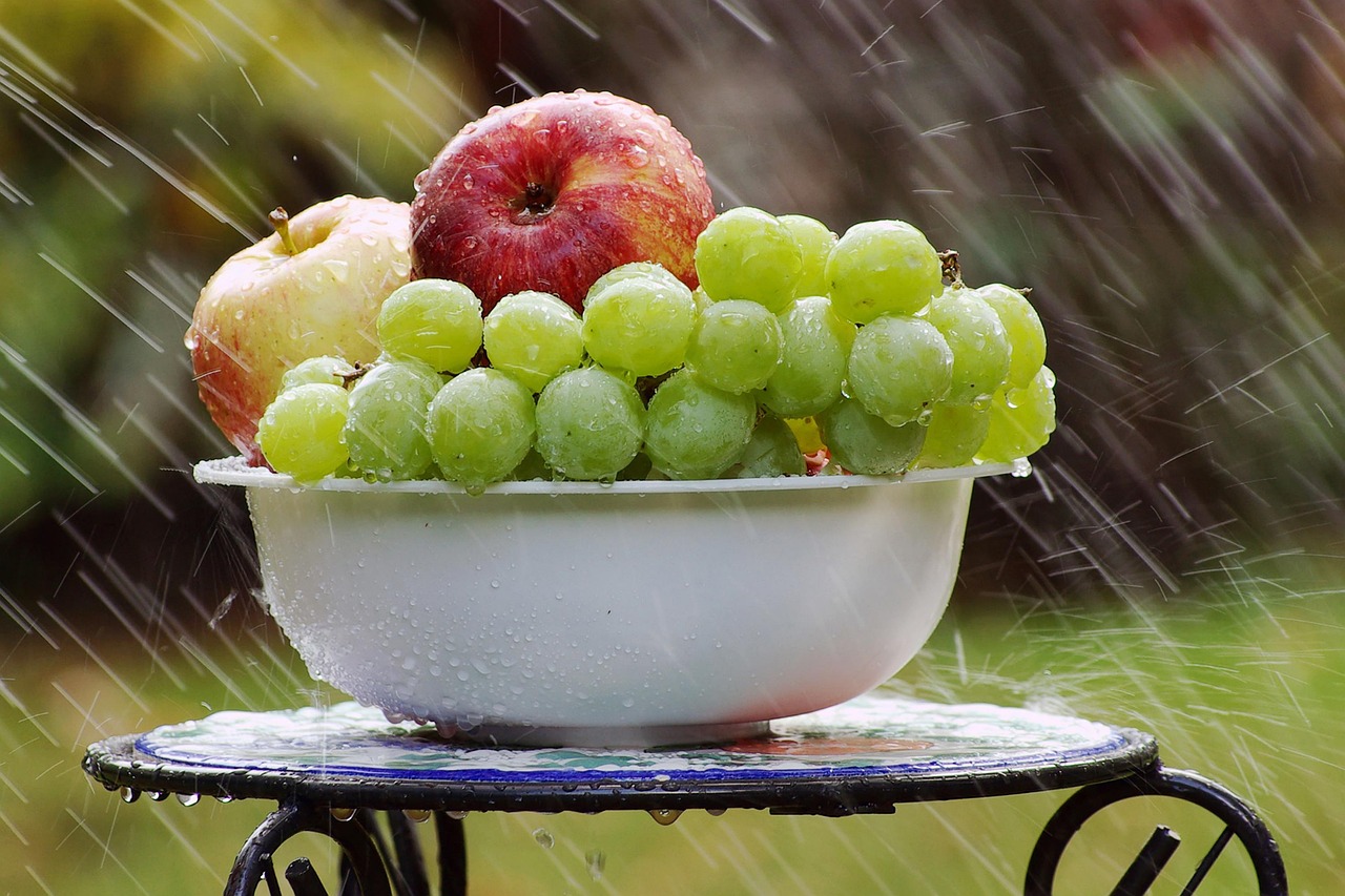 Grapes: Tiny Fruits, Big Impact (image credits: pixabay)