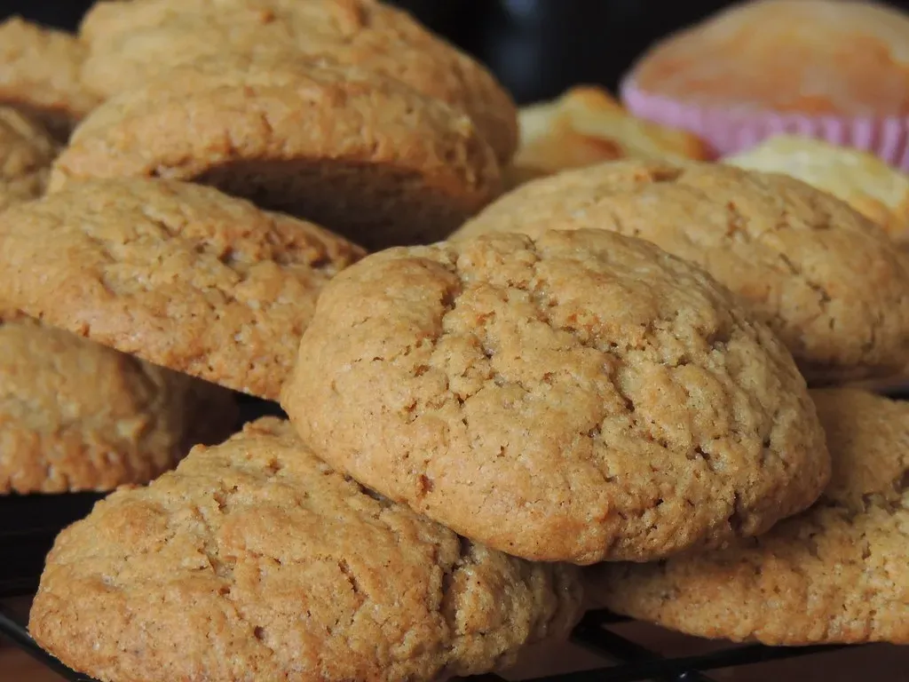 Introduction (Image Credits: Flickr)