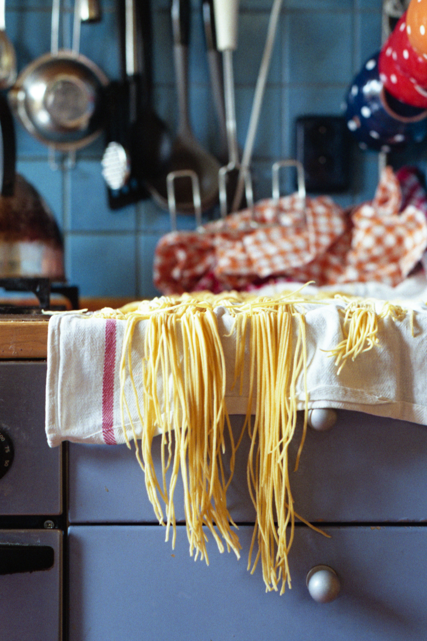 Understanding Fresh vs. Dried Pasta Science (image credits: wikimedia)