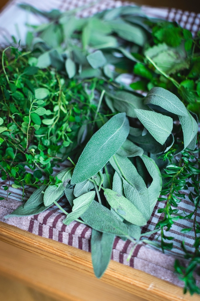 The Science Behind Cell Wall Expansion During Freezing (image credits: rawpixel)